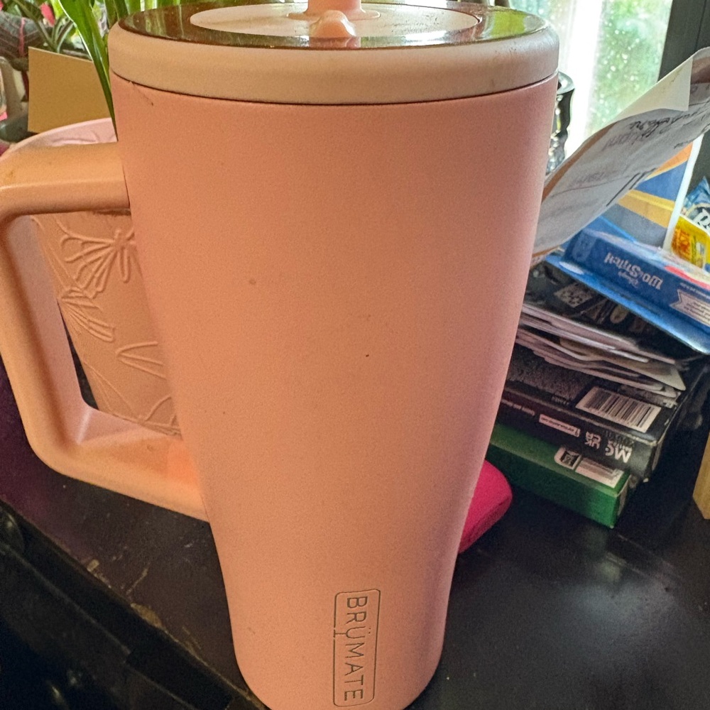 Coral Insulated Mug